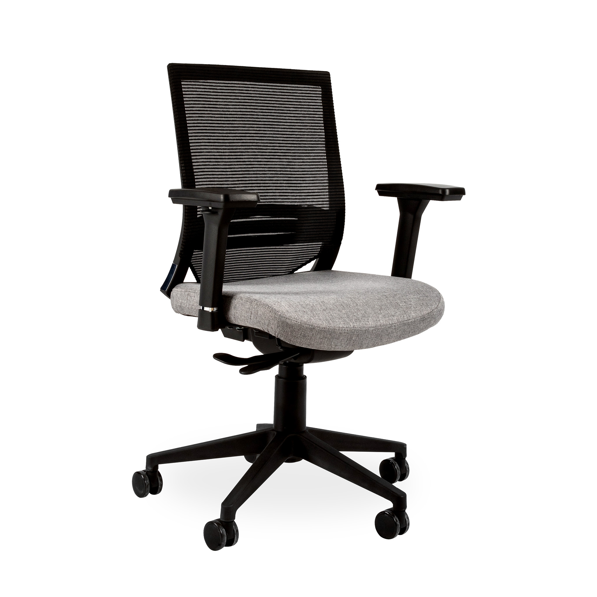 Orion Medium Back