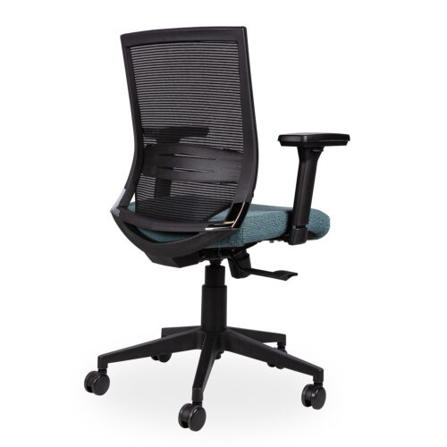 Orion Medium Back