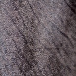 Buffed Brown