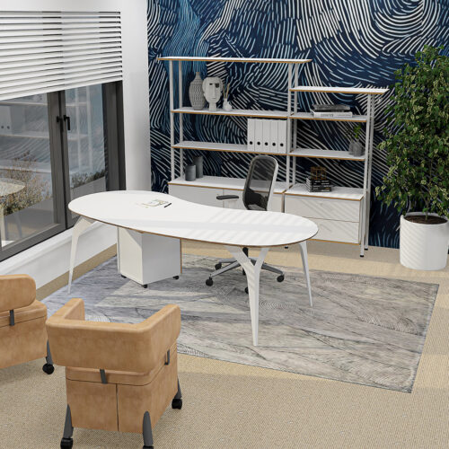 Shell Executive Desk