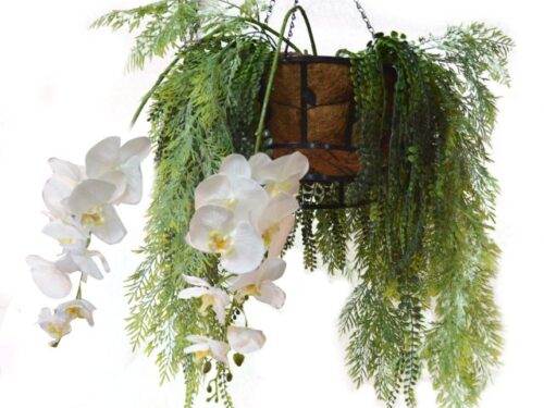 Hanging Basket 1